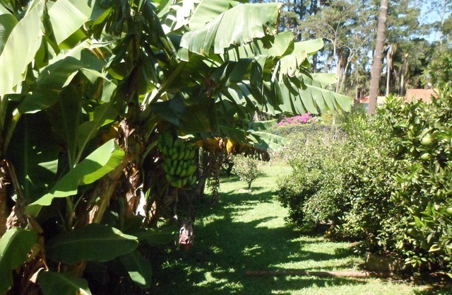 Cottage for rent for WEEKENDS AND HOLIDAYS