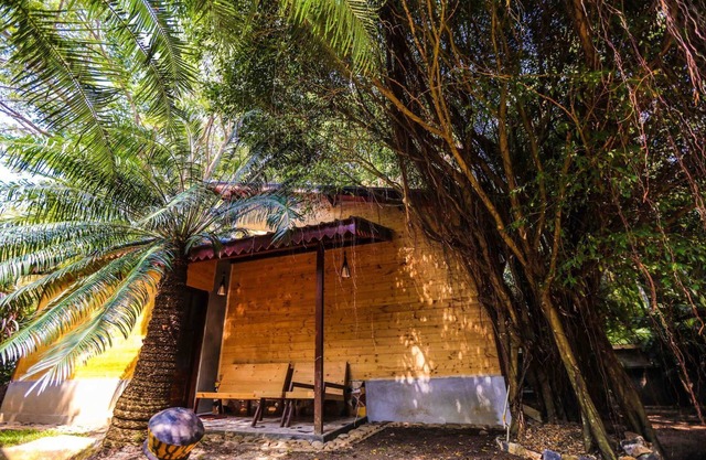 Cottage Chanka In Hikkaduwa