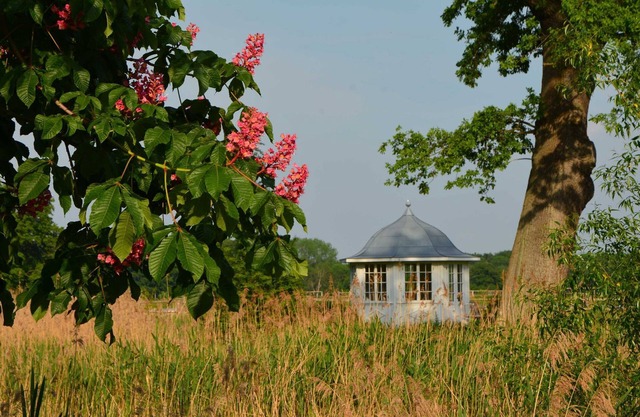 Cottage Fisherman's House (7 pers.) - Holiday Dalwitz Dalwitz