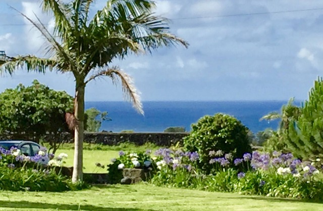 Cottage in pineapple plantation with sea views and 9 Acres of Land