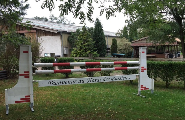 Cottage in the heart of an Alsatian equestrian center