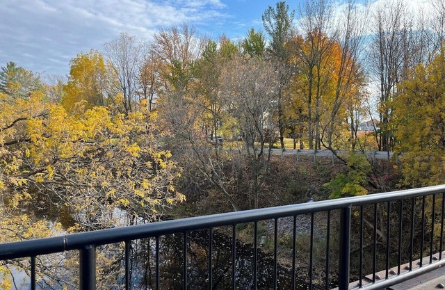 Cottage Near St Lawrence River! #2