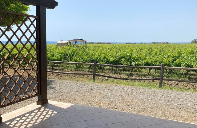 cottage nestled in a vineyard on the sea
