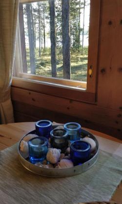 Cottage on Lake Jeris