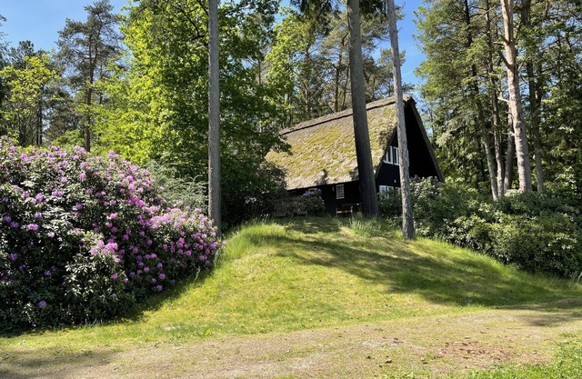 Cottage with pond on 16.000m² in nature