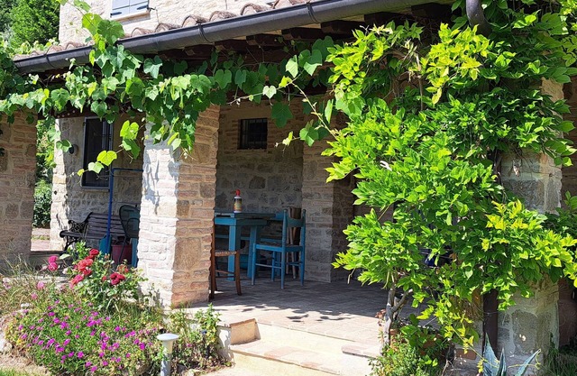 Cottage with pool and veranda surrounded by olive trees.