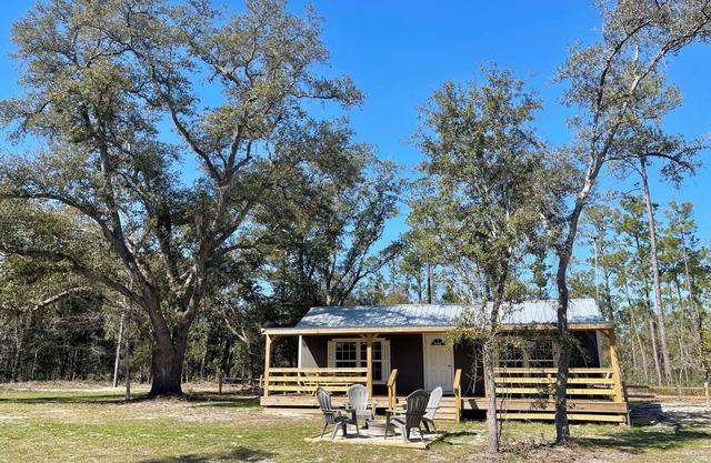 Country Cabin in Private Setting