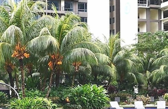Country Garden Central Park Serviced Residence