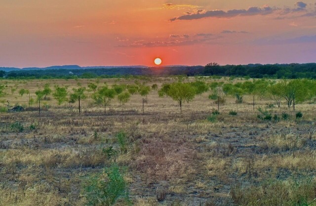 Country Getaway.Sounds of nature and stargazers dream Rejuvenate your mind &body
