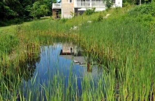 Country home 5 bdrs, 6 baths, yoga/art studio, large garden near wineries +beach
