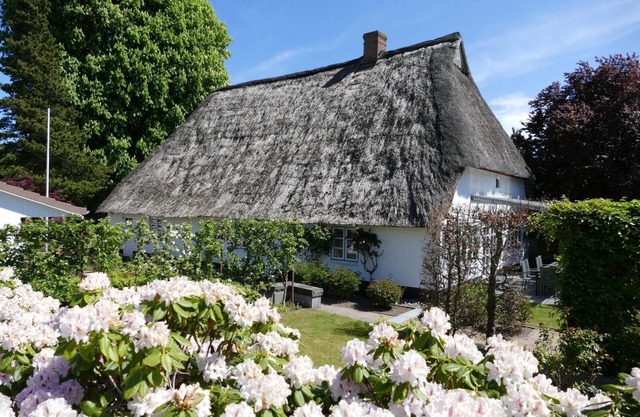 Country house to the old chestnut in Bohnert