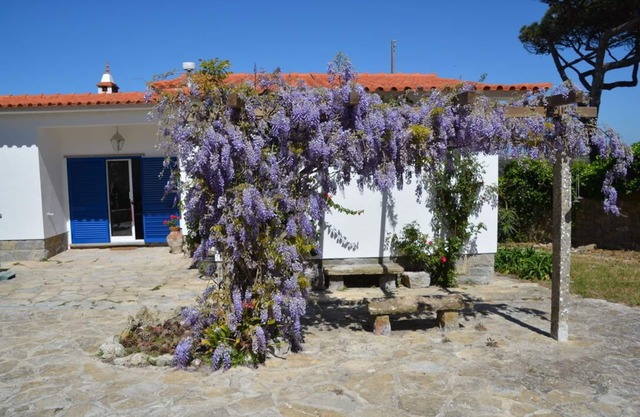 Country house in a magical garden near the beach