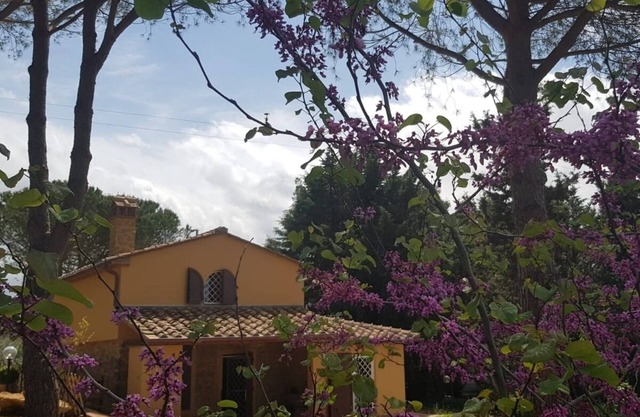 Country house on the stone immersed in the green of the olive trees of the hill