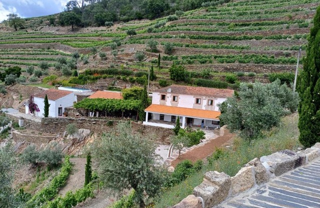 Country house Quinta da Salgueira