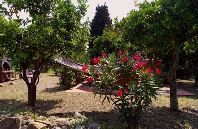 Country house surrounded by olives & lemons. Near the sea. Private boat trips bookable