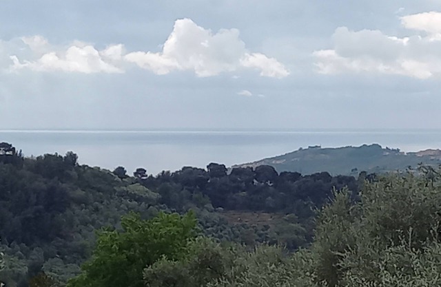 country house with sea view in secular olive grove