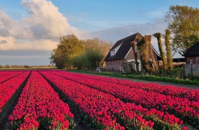 Country life Comfortable holiday residence