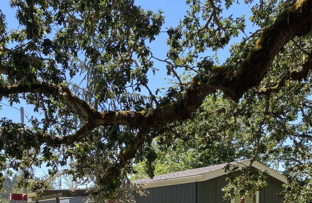 Country living: 2BR 2 FULL BA close to town, all fenced in