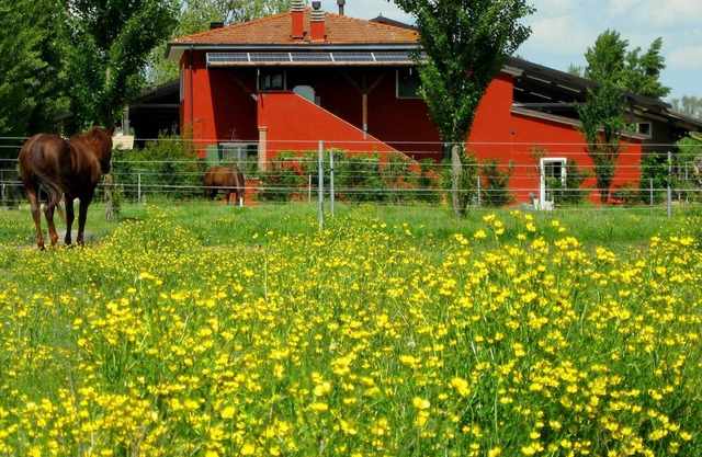Country style apartments in Farmhouse
