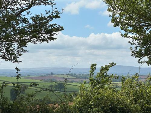 Countryside cottage near Crediton