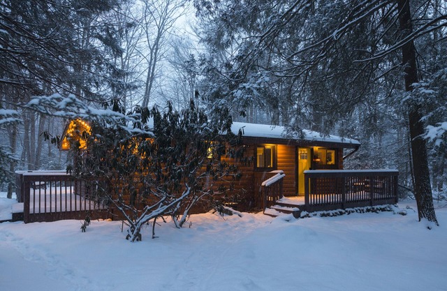 Couple's Log Cabin w/Jacuzzi