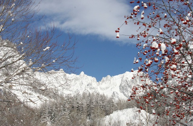 Courmayeur Mont Blanc - 3 bedroom apartment