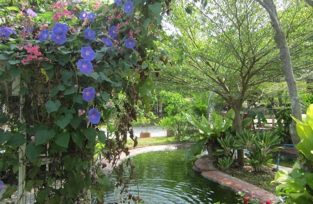 Cowboy Farm Resort Pattaya