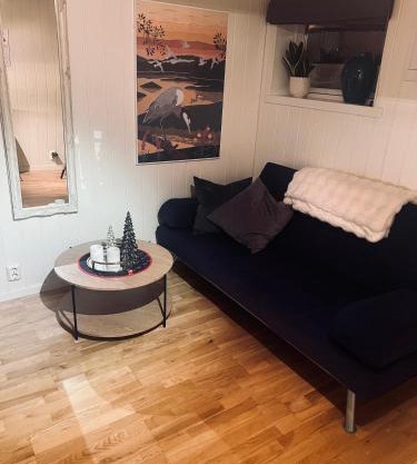 Cozy 1 bedr apartment close to everything!