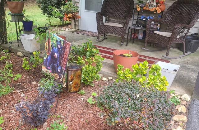 Cozy 1-bedroom apartment in peaceful Etowah area of Hendersonville