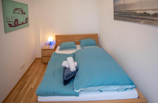 Cozy 1-bedroom apartment in Innsbruck Center