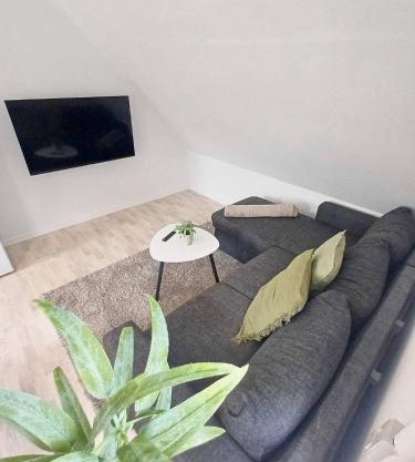 Cozy 1 bedroom apartment B