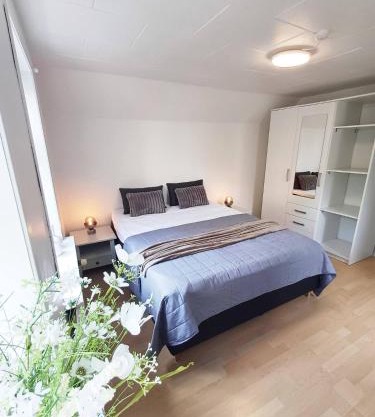 Cozy 1 bedroom apartment A