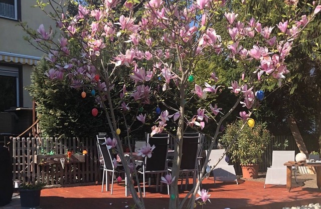cozy 150 sqm apartment, quiet location in the countryside