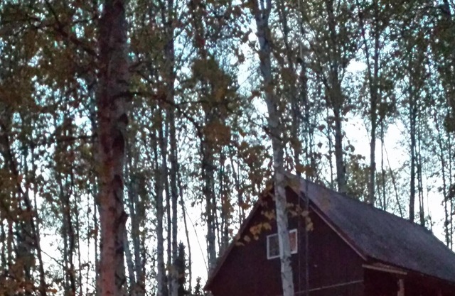 Cozy Alaskan Cottage