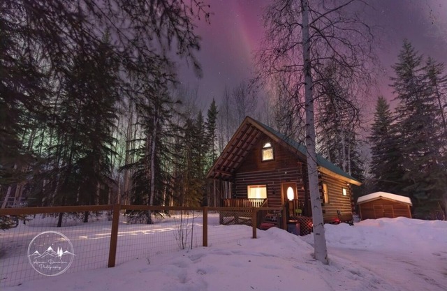 Cozy Alaskan themed cabin suitable for families or couples! King size bed, w/d