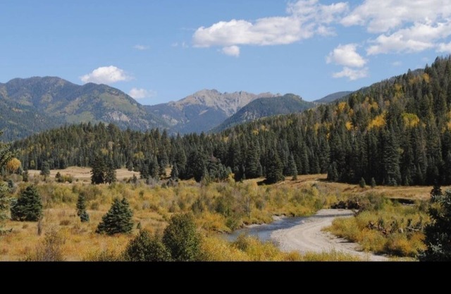 Cozy Alpine Retreat - come relax & enjoy all of the beauty of Pagosa Springs