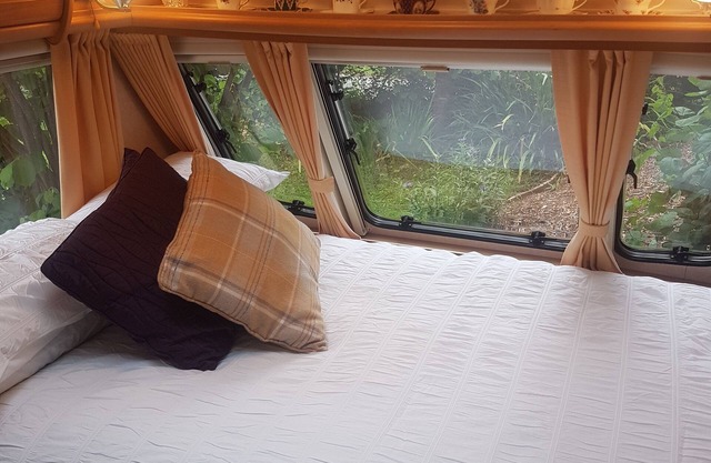 Cozy and welcome retreat in the heart of Mid Wales