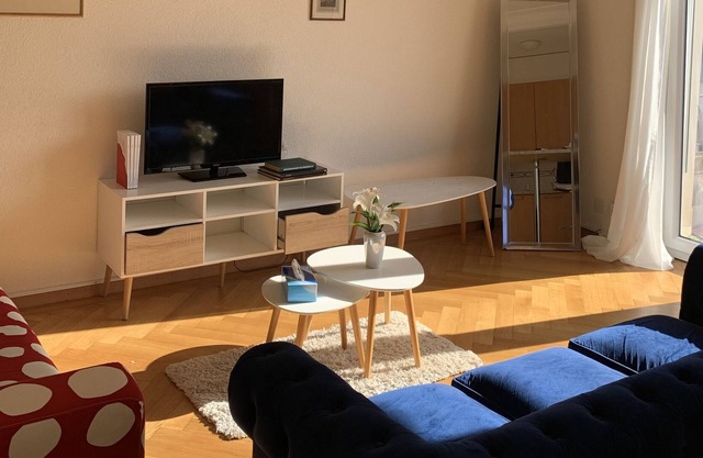 Cozy apartment