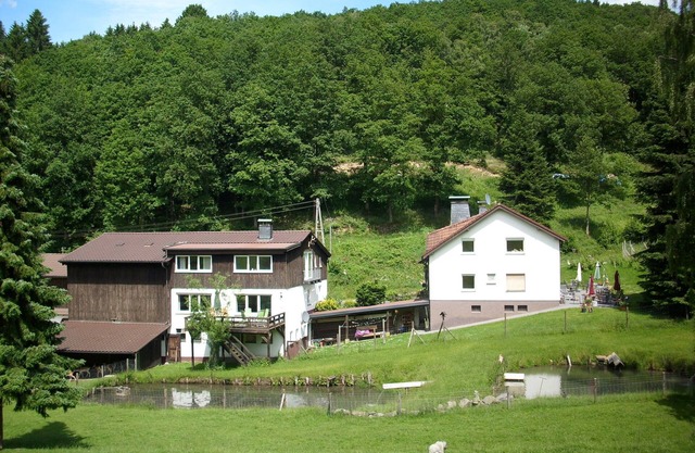Cozy Apartment in Bruchhausen with Terrace