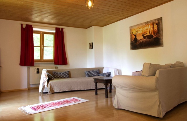 Cozy apartment right on the edge of the forest