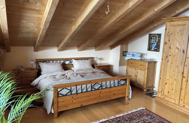 Cozy apartment right on the lake with mountain views
