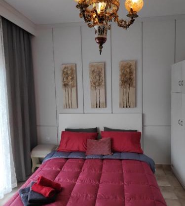 Cozy apartments