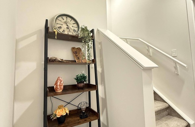 Cozy Basement in Airdrie