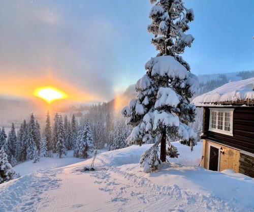 Cozy cabin apartment, ski-in ski-out at Kvitfjell
