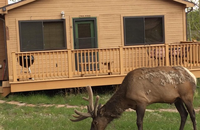 Cozy cabin by the Big Thompson river - Close to Downtown and RMNP