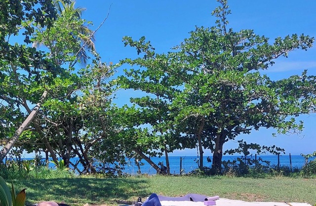 Cozy cabin in gorgeous Rincón with AC