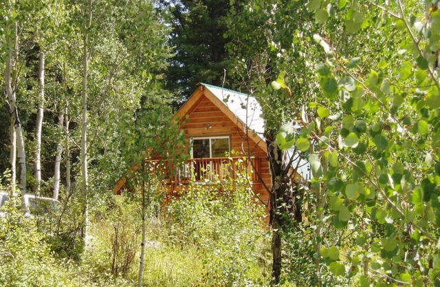 Cozy Cabin in the national forest