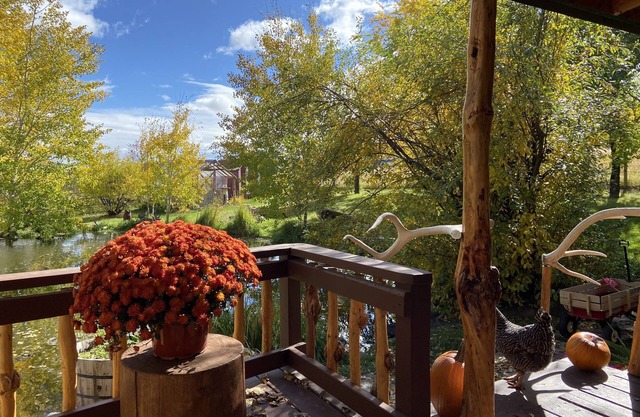 Cozy cabin nestled beside a spring-fed pond&hobby farm in the Elkhorn Mountains