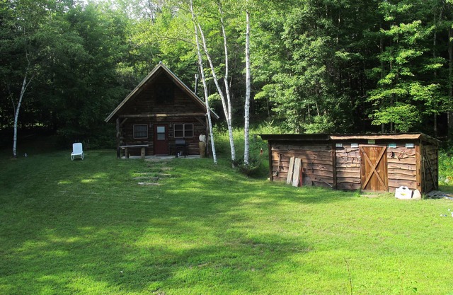 Cozy Cabin On 10 Wooded Acres In Vermont