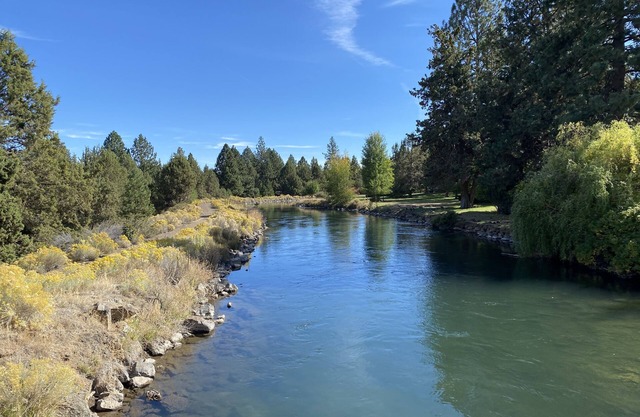 Cozy Canterbury | Dog-friendly oasis in Bend